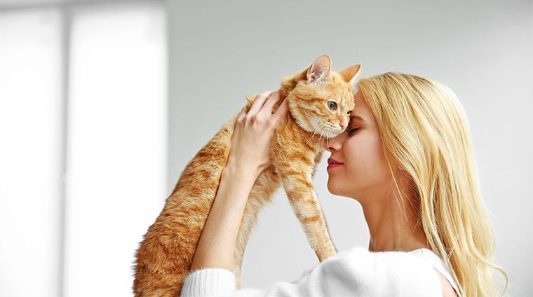 “やっぱり「ペット保険」がいらないこれだけの理由